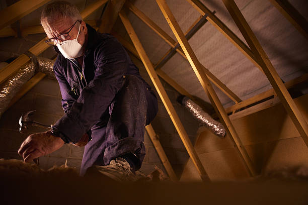 Best Commercial Insulation in Smackover, AR